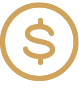 Money Icon