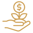 money icon